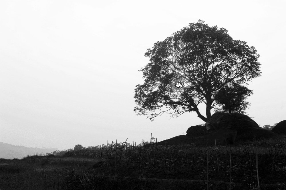 Photograph by Rahmat Nugroho