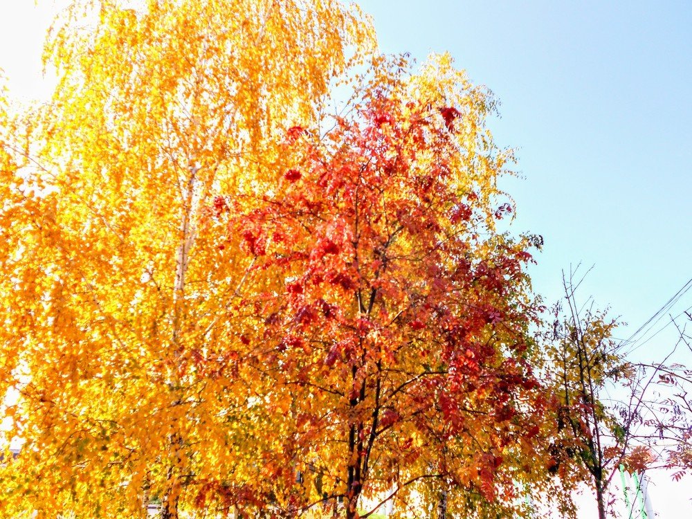 Photograph by Денис Лащ