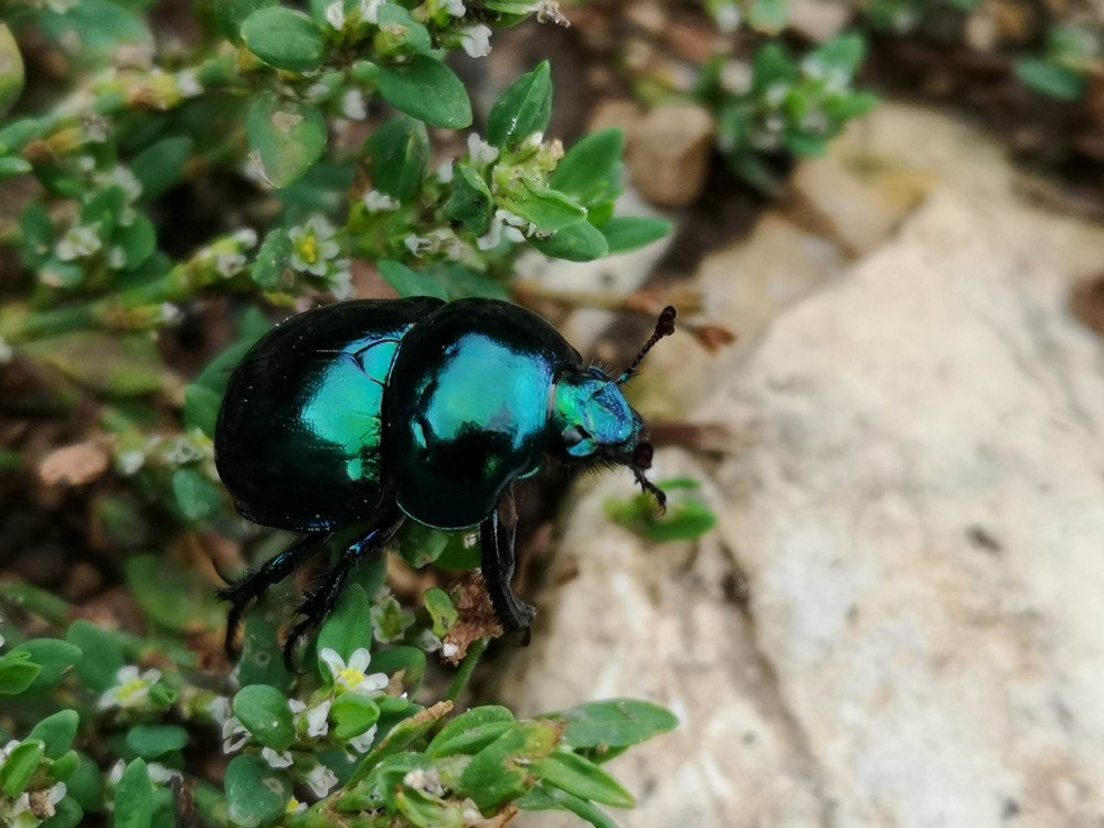 Photograph by Marina Razheva