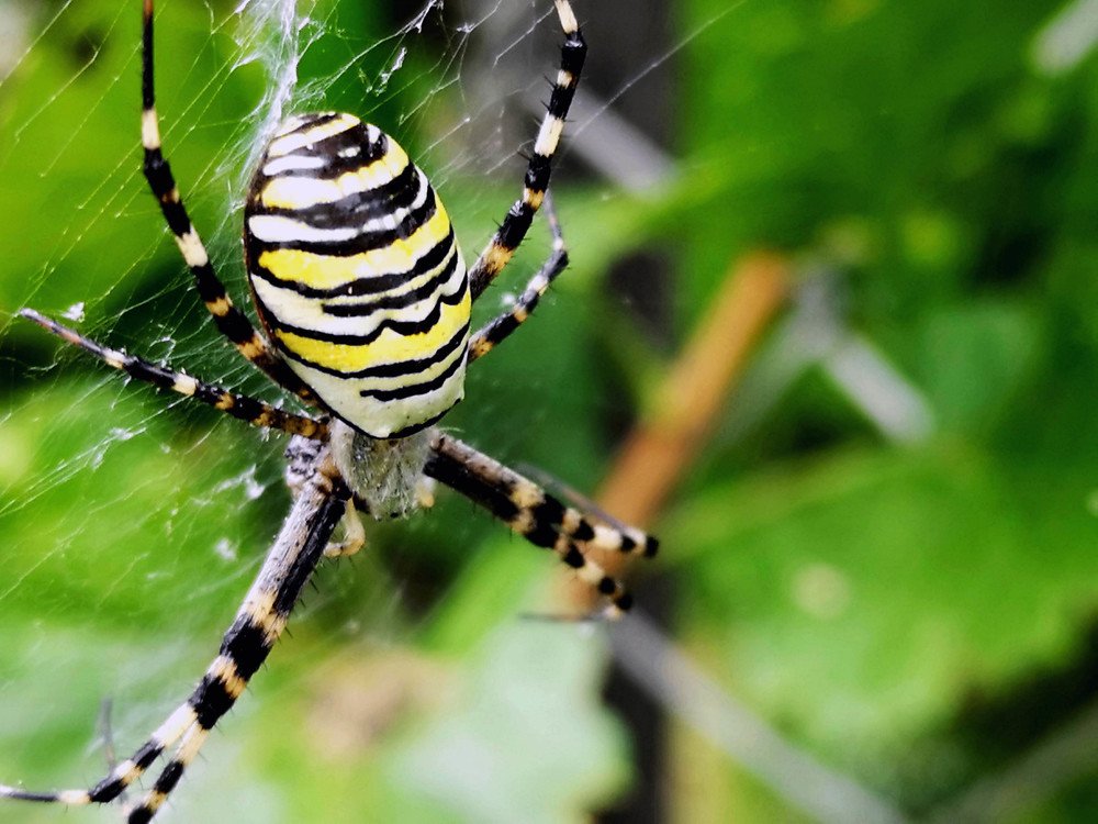 Photograph by Marina Razheva