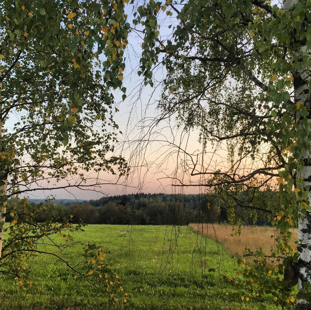 Деревенский пейзаж