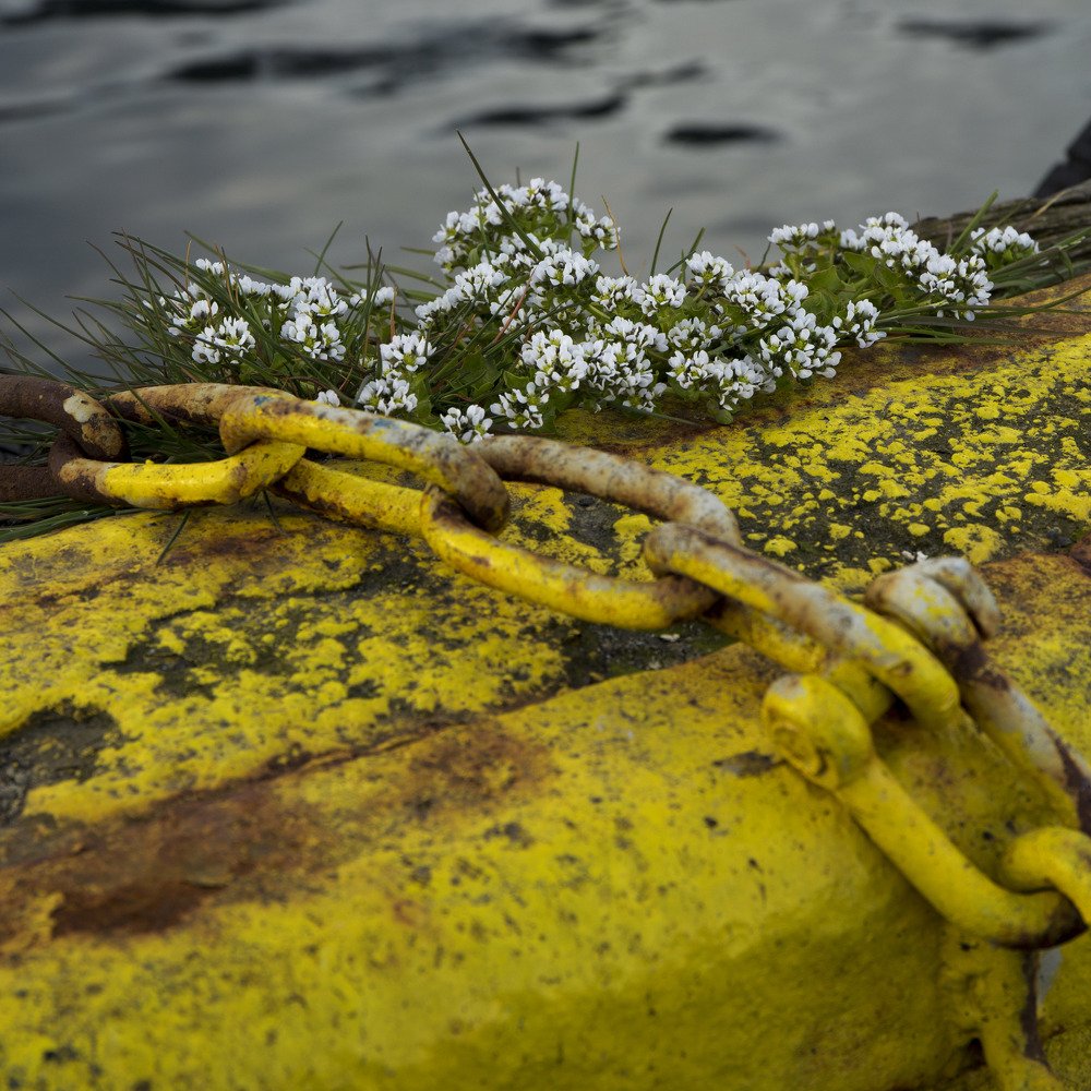 Photograph by salvatore Mercieca