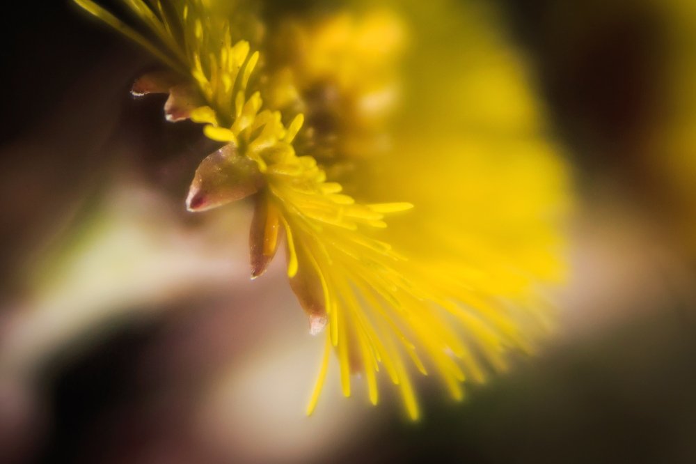 Photograph by Катя