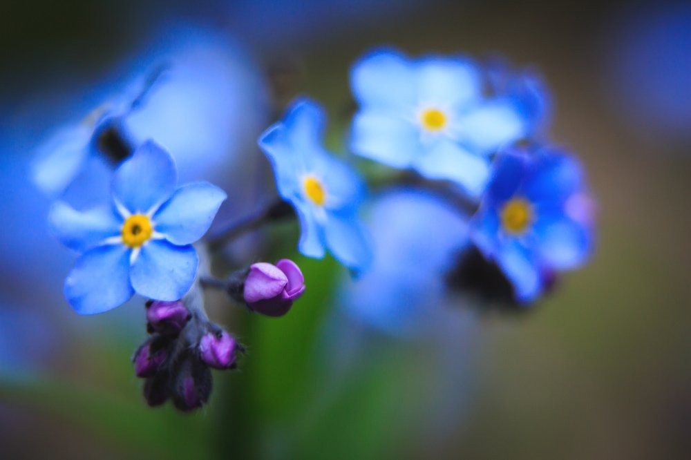 Photograph by Катя