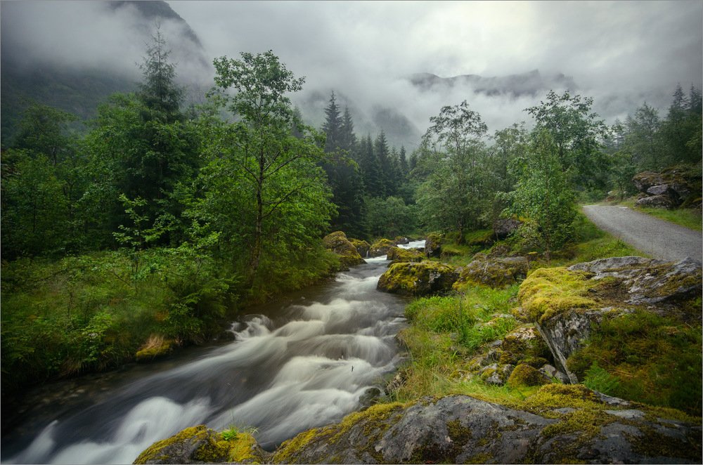 Photograph by Людмила Сиденко