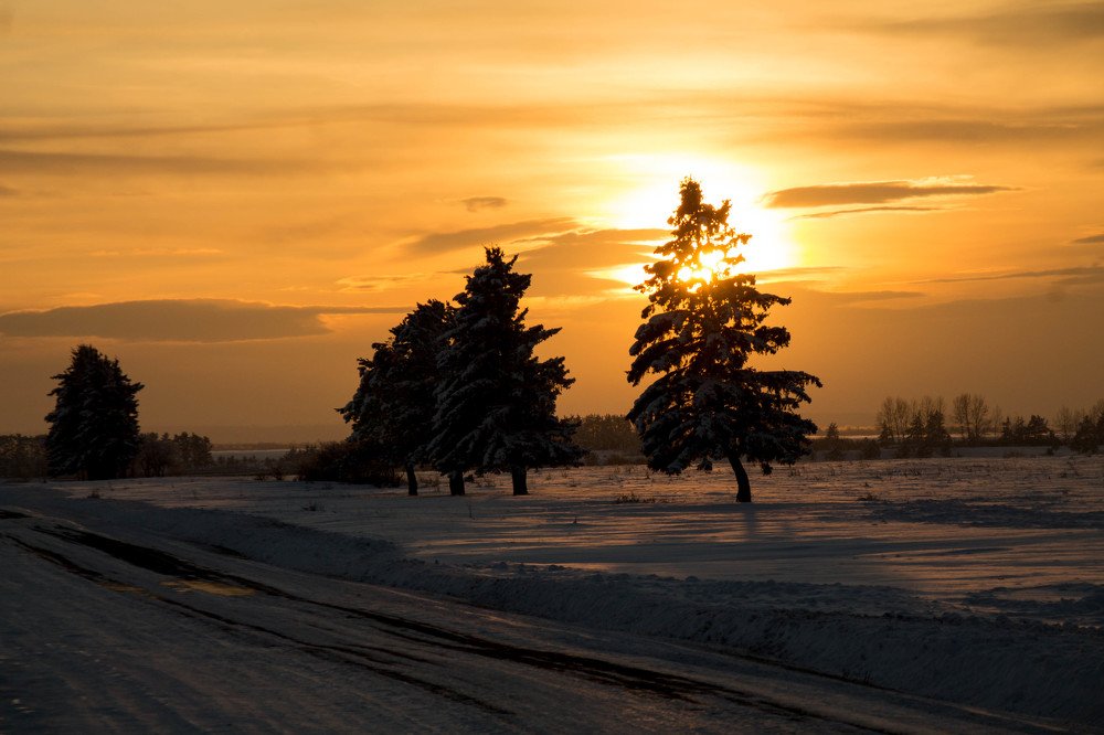 Photograph by Николай Дорофеев