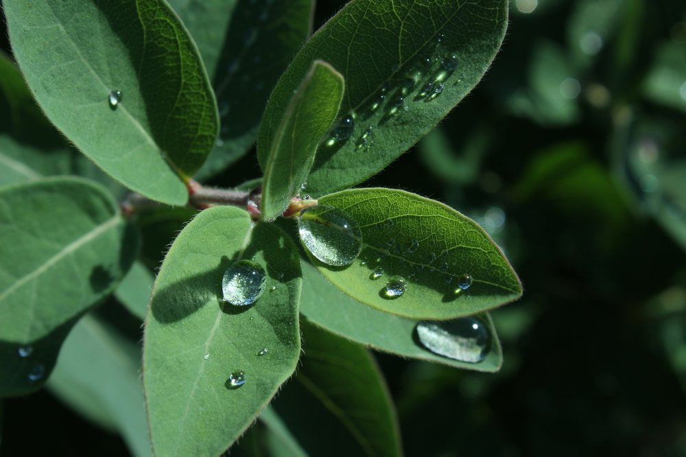 После дождя