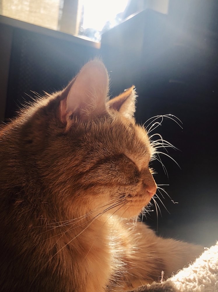 Фотография автора Мария Жукова