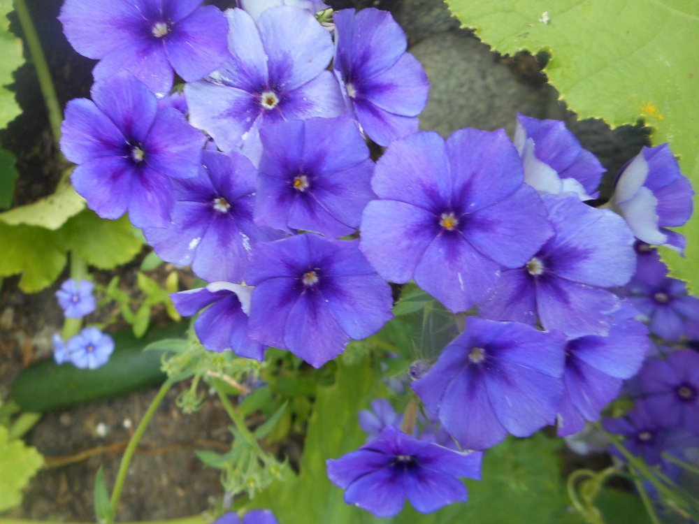 Photograph by Светлана Хоботова