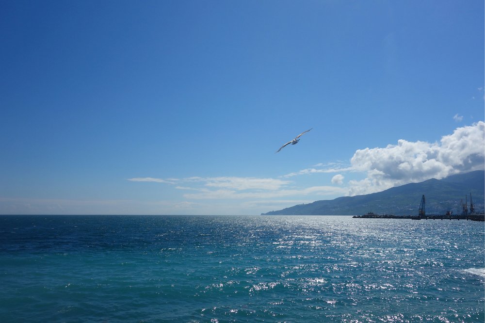 Перед штормом