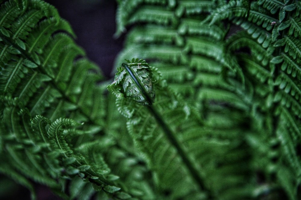 Photograph by Илья Шамин