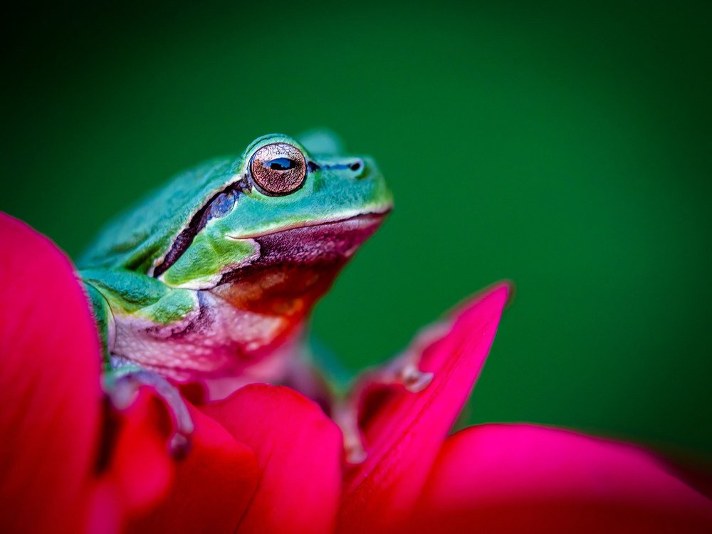 Photograph by Fero Daniska