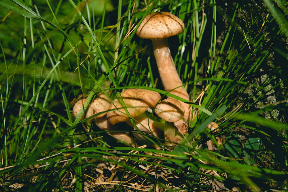 Photograph by Вадим Басов