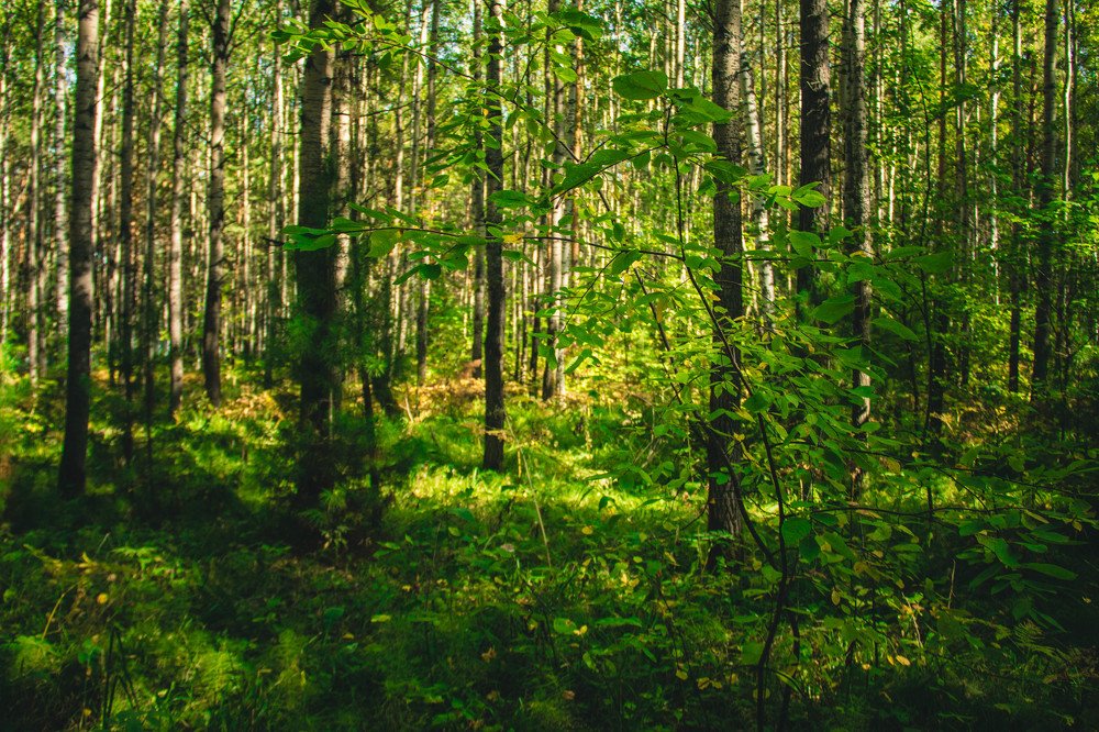 Photograph by Вадим Басов