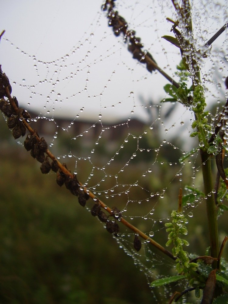 Photograph by Марина Кузьмина