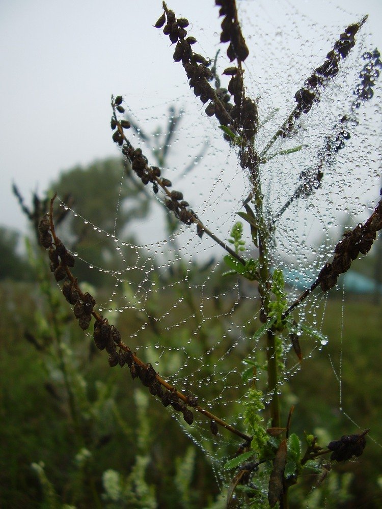 Photograph by Марина Кузьмина