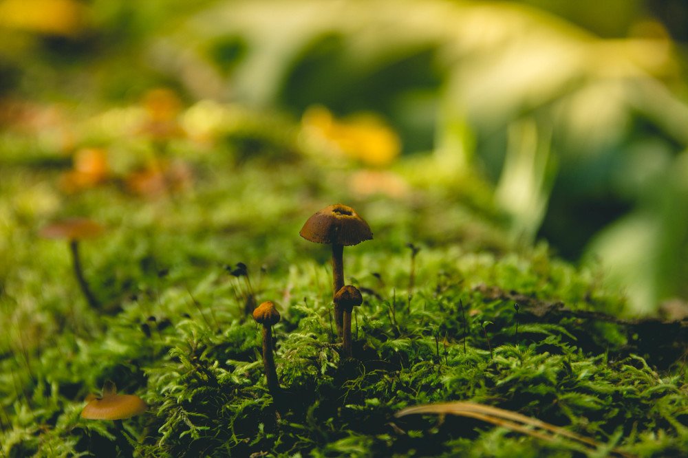 Photograph by Вадим Басов