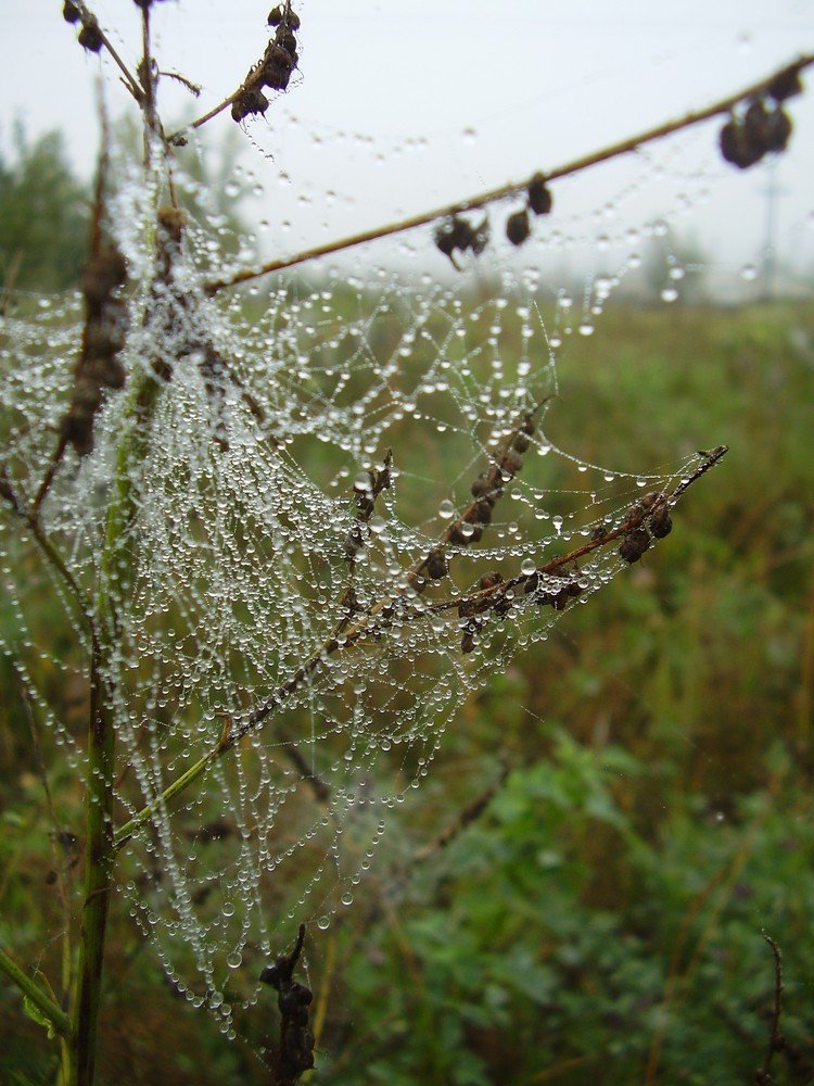 Photograph by Марина Кузьмина
