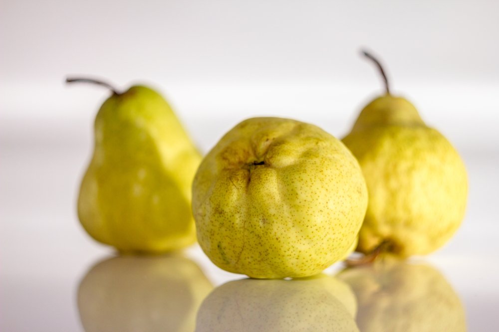 Photograph by Saulius Mikalauskas