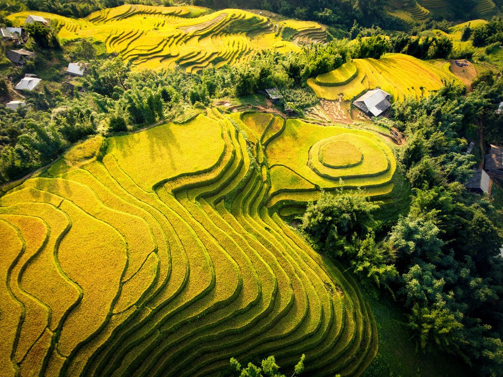 The Terraces in Sapa