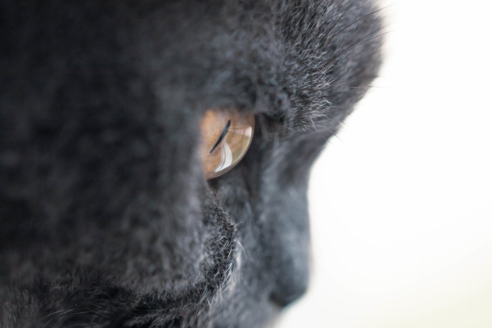 Фотография автора Маргарита Басова