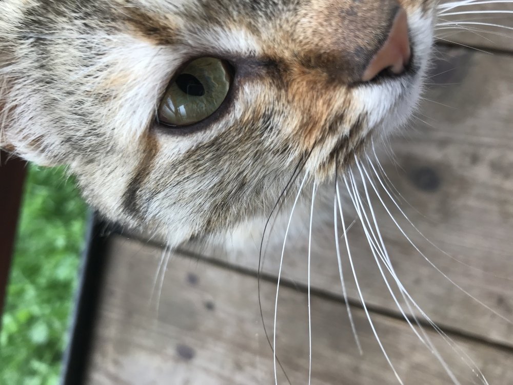 Photograph by Anca Hultoana