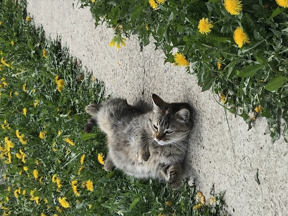 Photograph by Anca Hultoana