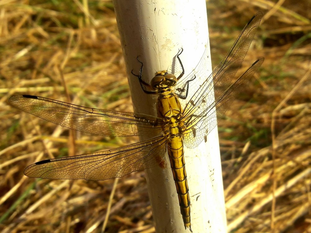 Photograph by Елизавета Можельская