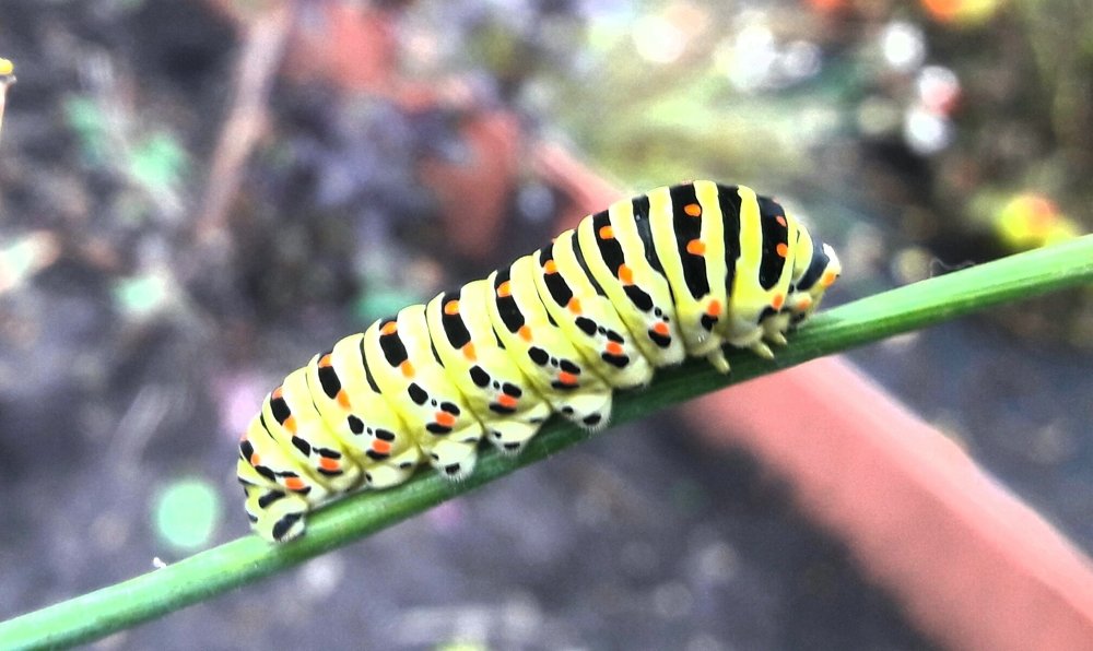 Photograph by Елизавета Можельская