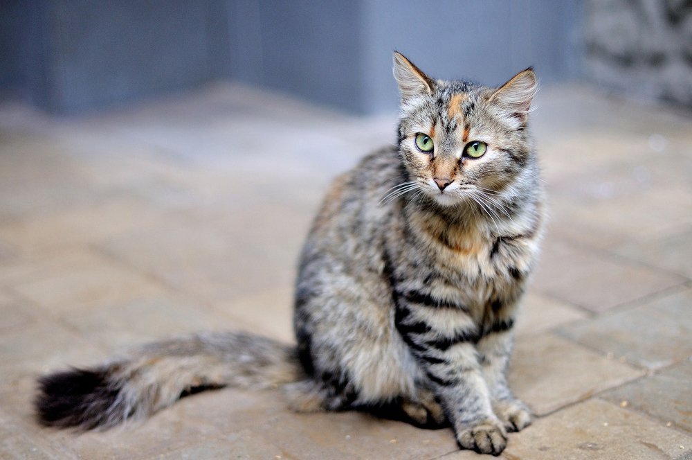 A girl from the future.(Caution and curiosity.)