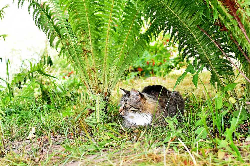 Photograph by Alexey Smal