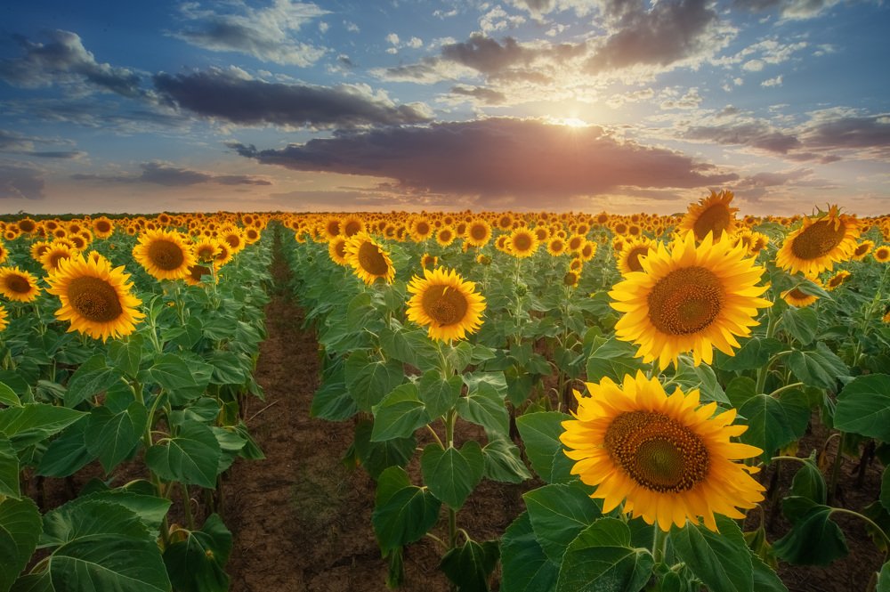 Photograph by Наташа Фирсова