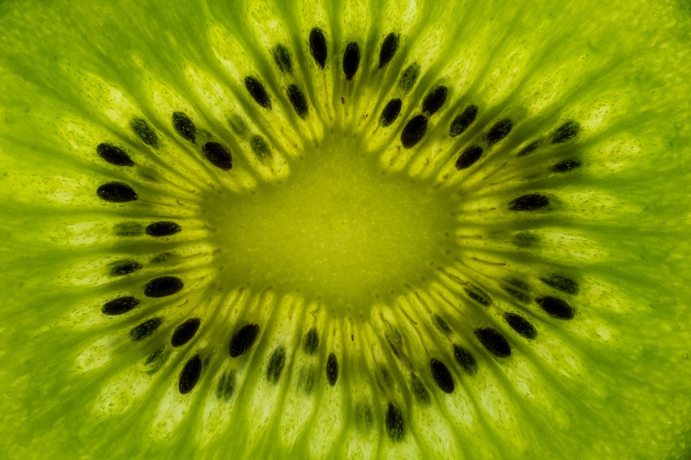 Photograph by Luca Arsinel