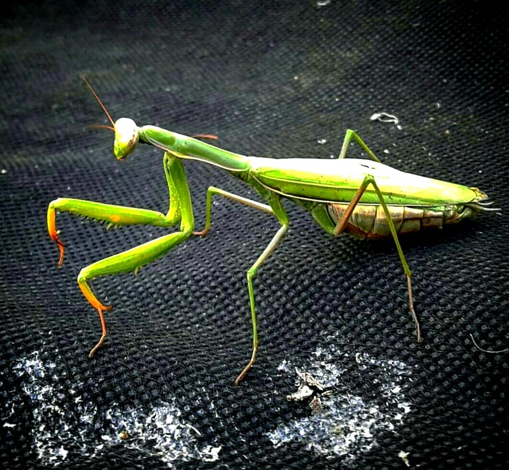 Photograph by Елизавета Можельская