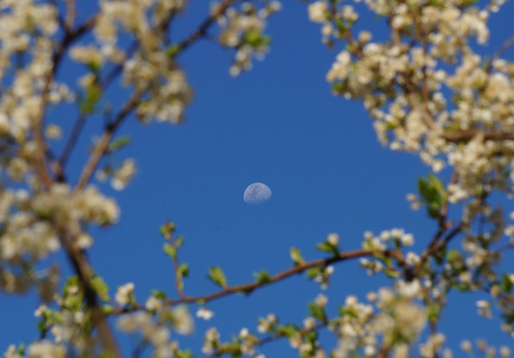 Photograph by Karina Elena Bergagna