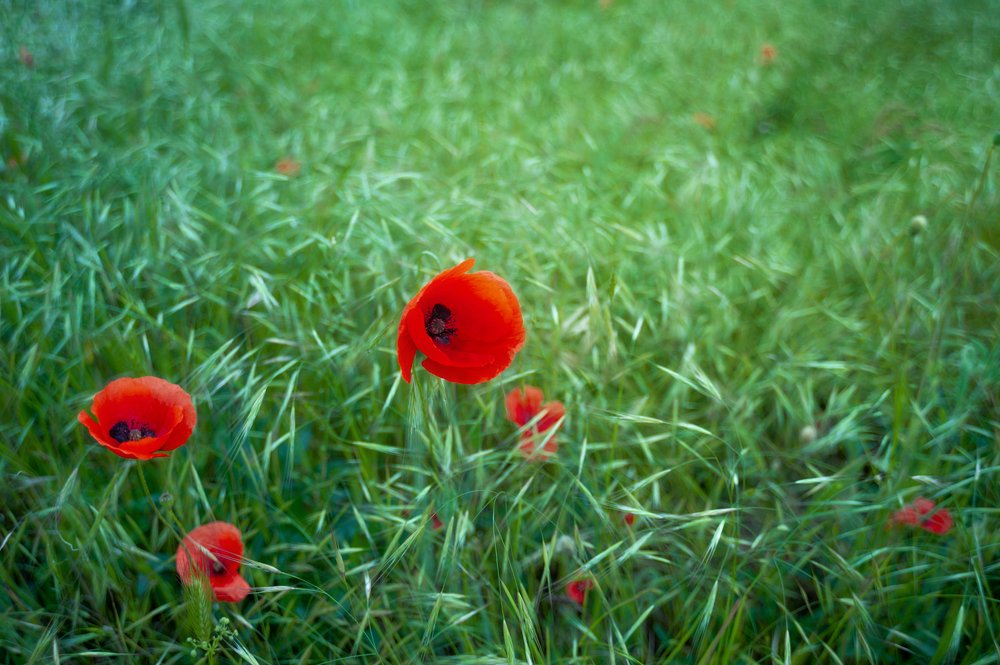 Photograph by Наташа Фирсова