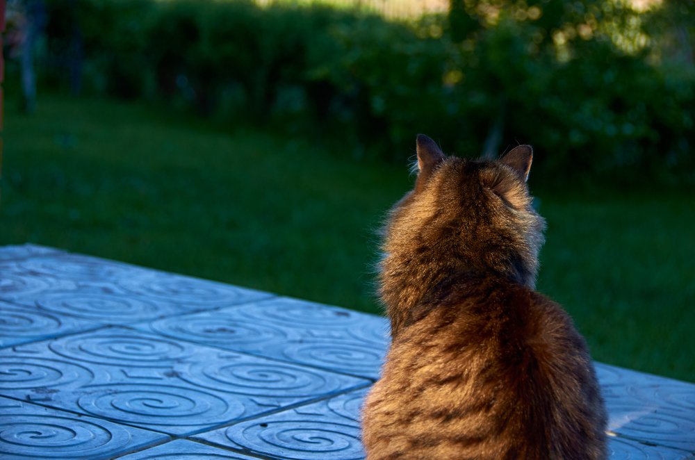 Photograph by Камиль Ахметшин