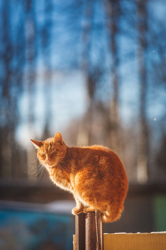 Photograph by Ирина Богатырева