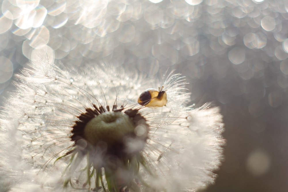 Photograph by Аксана Чалова