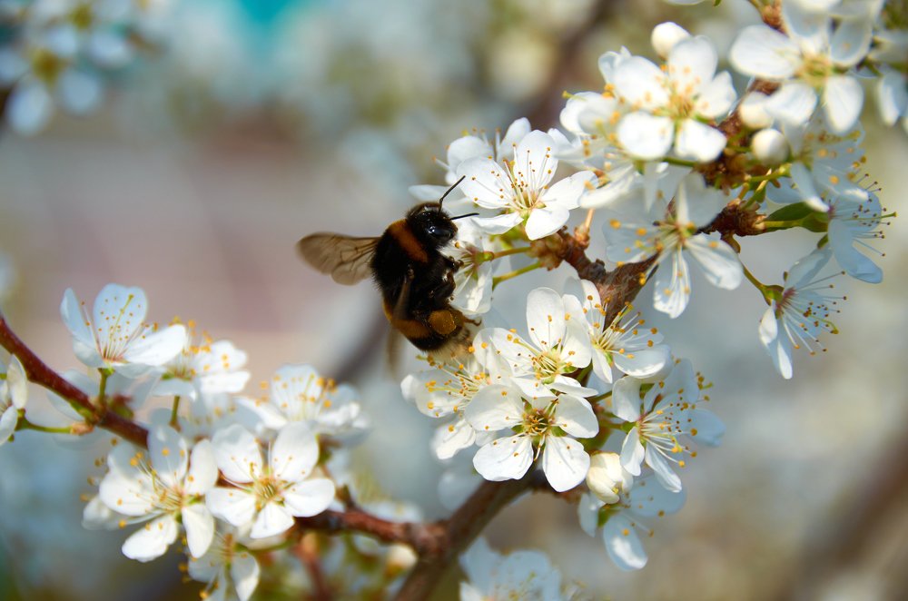 Photograph by Камиль Ахметшин