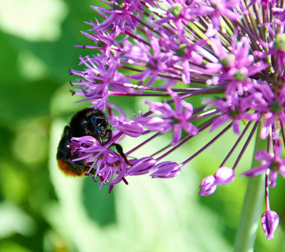 Photograph by Камиль Ахметшин