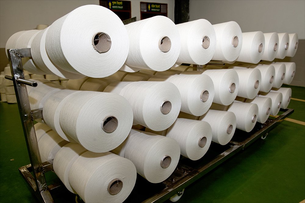 Photograph by  MD DIDARUL ALAM CHY