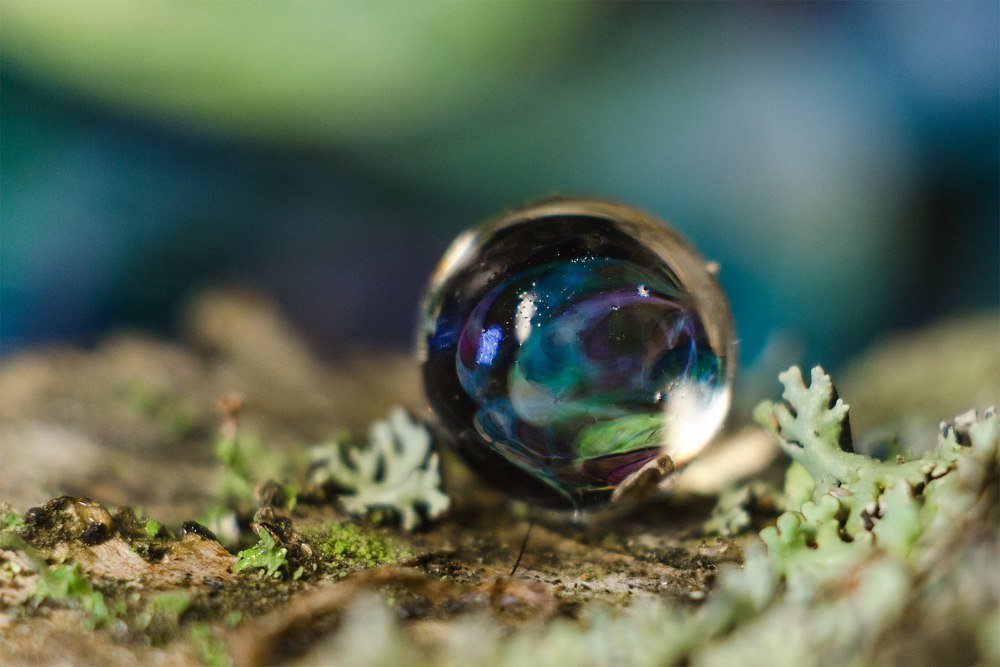 Photograph by Аксана Чалова