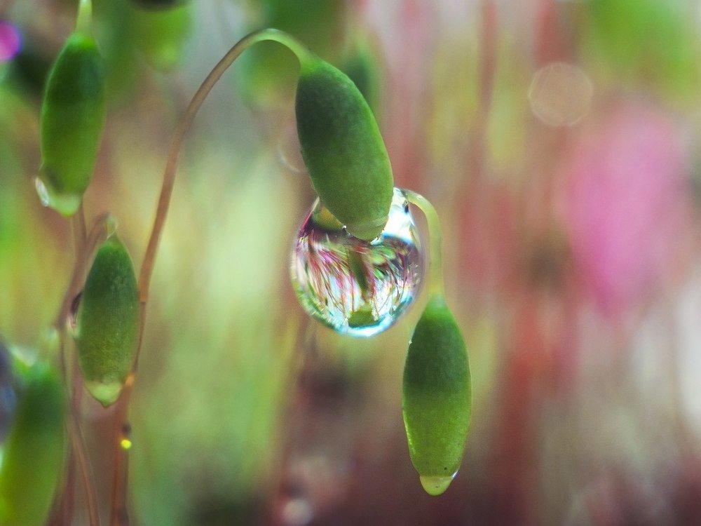 Photograph by Аксана Чалова