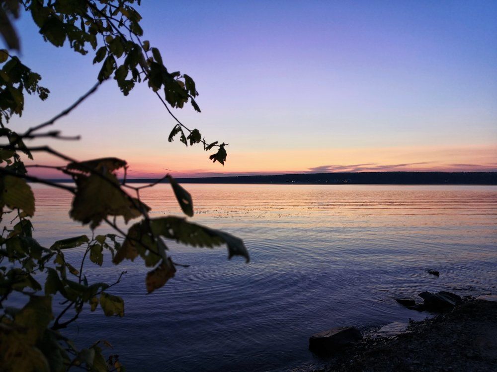 Photograph by Омильянчук Анна