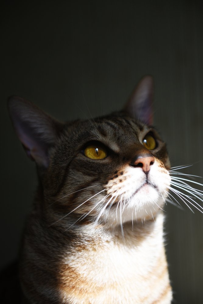 эй вы там на верху