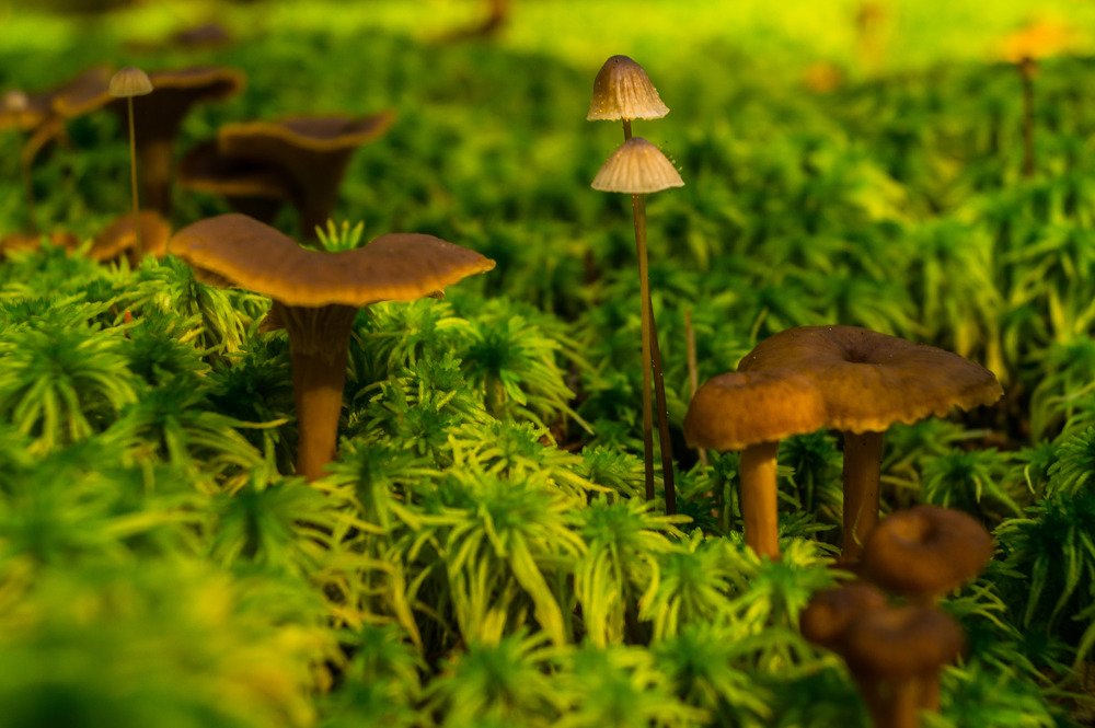 Фотография автора Юрий Цыркунов