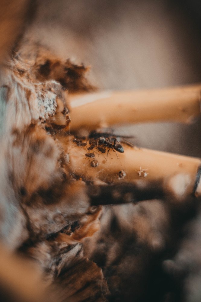 Маленький мир