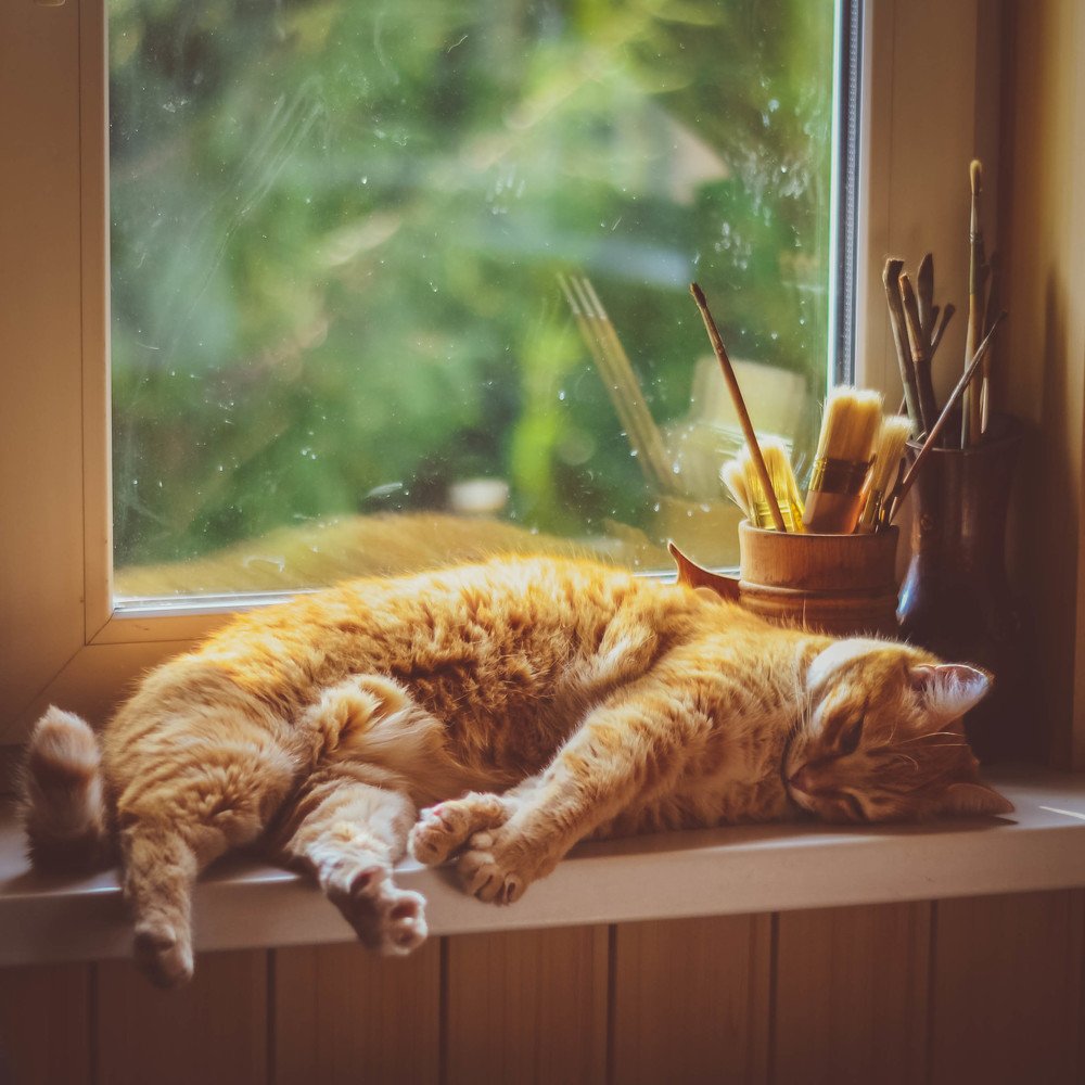 Photograph by Елизавета Небесная