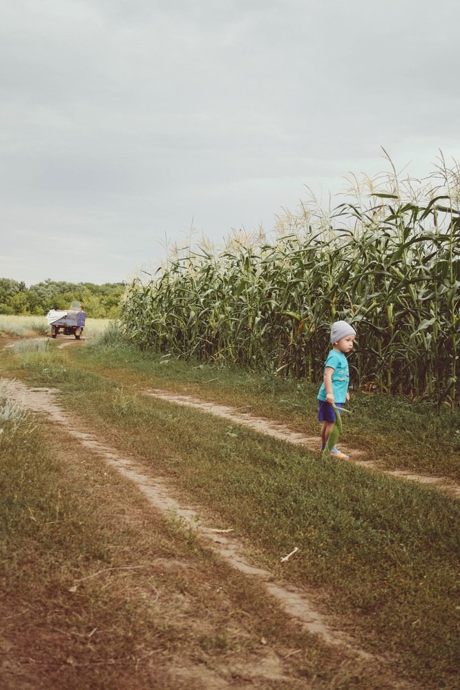 Куда же все подевались?